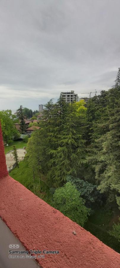 Студия Радуга У Моря Колхида Batoemi Buitenkant foto
